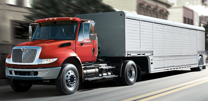 International DURASTAR - image 5 of 6